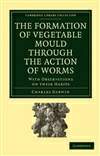 蔬菜为何发霉 The Formation of Vegetable Mould