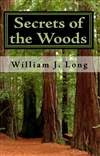 林中的秘密 Secrets of the Woods