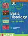 基础组织学第11版 Basic Histology 11th Edition