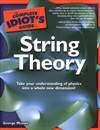 完全傻瓜指南之弦理论 The Complete Idiot’s Guide to String Theory