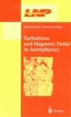 天体物理学中的气流和磁场 Turbulence and Magnetic Fields in Astrophysics