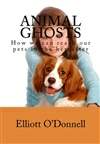 动物之灵：“走后”如何找到我们的宠物 Animal Ghosts: How We Can Reach Our Pets In The Hereafter